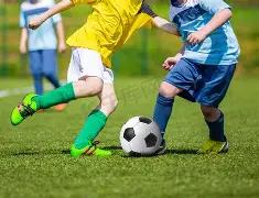 禅韵双色球,期精准预测,一码锁定蓝,浙江体彩,浙江体彩网,浙江体彩网官网,体育彩票,体彩大乐透,竞彩足球,体彩公益