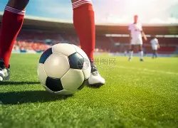 狗年双色球,红球精准锁,一注必中秘,浙江体彩,浙江体彩网,浙江体彩网官网,体育彩票,体彩大乐透,竞彩足球,体彩公益