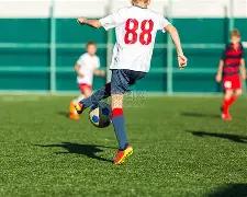 彩界秘籍,大乐透,期必中七码,浙江体彩,浙江体彩网,浙江体彩网官网,体育彩票,体彩大乐透,竞彩足球,体彩公益