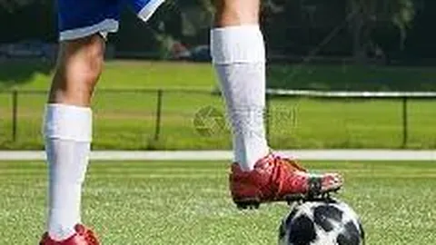 【绝杀秘籍】2025141期双色球精准杀码预测，稳定战绩助力大奖冲刺！