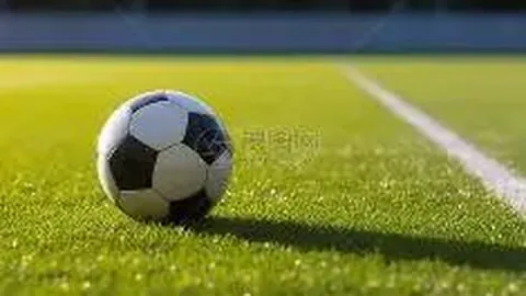 浙江体彩网 资讯 113034 dl3