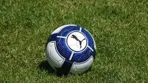 浙江体彩网 资讯 113010 orv